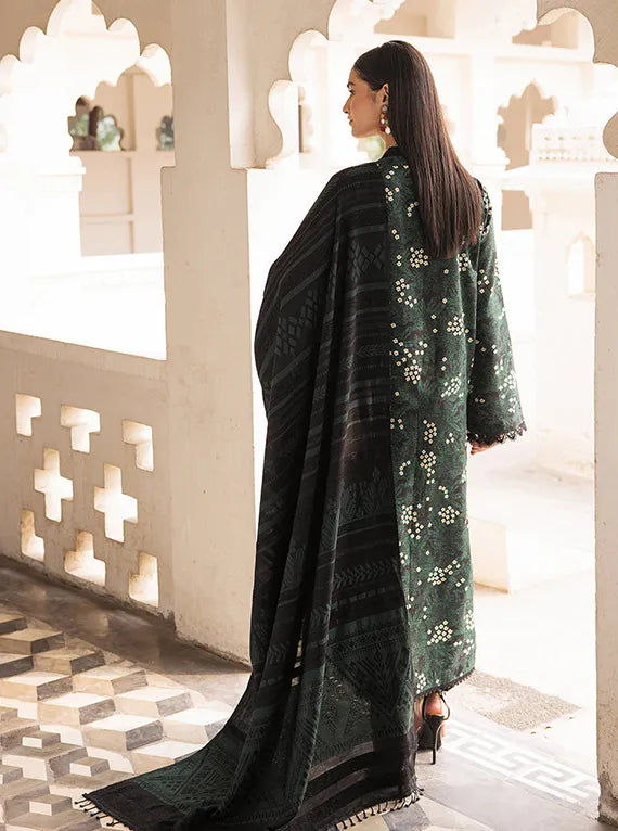 Rajbari Premium Winter Shawl Collection 2024 (1A)