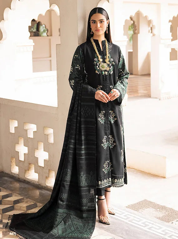Rajbari Premium Winter Shawl Collection 2024 (1A)