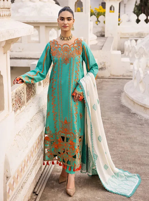 Rajbari Premium Winter Shawl Collection 2024 (5B)