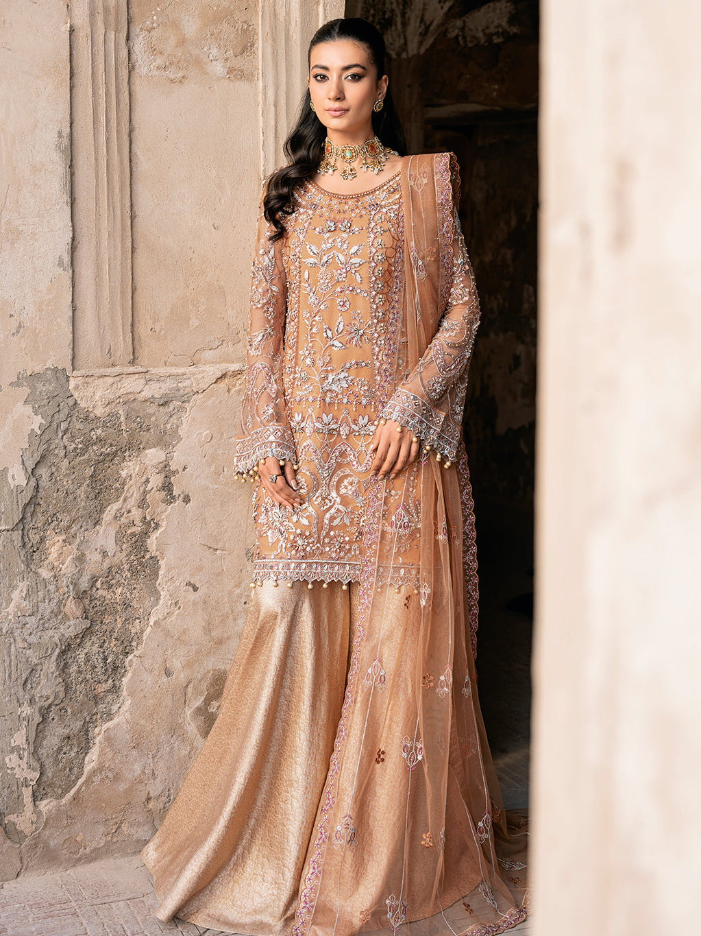 Ramsha Fancy Embroidered Chiffon Collection 2026 (H-209)