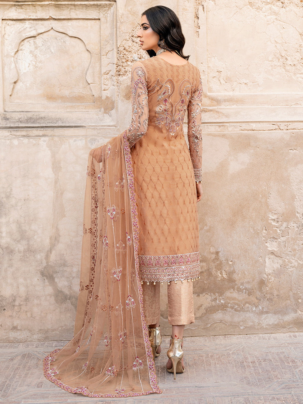 Ramsha Fancy Embroidered Chiffon Collection 2026 (H-209)