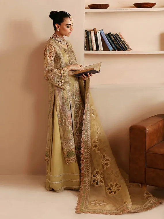 Ramsha Luxury Festive Formals Collection 2024 Vol-02 (E-205)