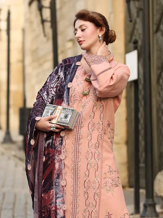 Rang Rasiya Carnation Embroidered Karandi Collection 2025 (D-03 Latte)