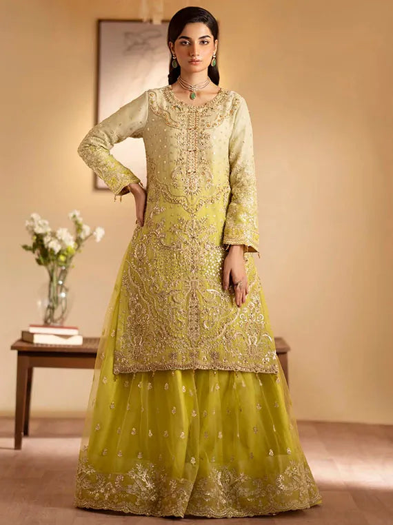 Romansiyyah Luxury Formals Collection 2024 By Emaan Adeel (Sabian)