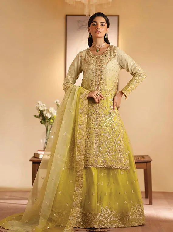 Romansiyyah Luxury Formals Collection 2024 By Emaan Adeel (Sabian)