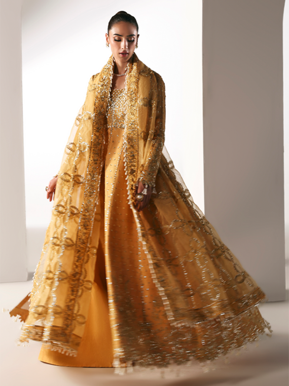 Serein By Emaan Adeel Premium Embroidered Raw Silk Collection 2025 (GOLDEN HOUR)