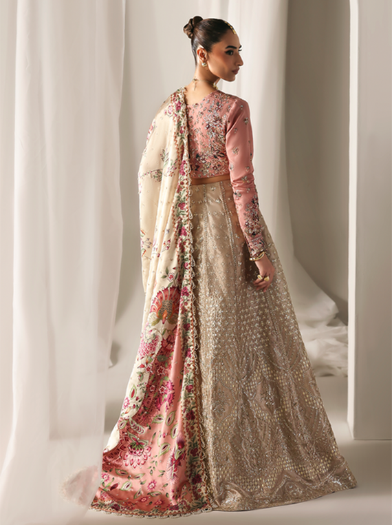 Serein By Emaan Adeel Premium Embroidered Raw Silk Collection 2025 (SOFT GLIMMER)