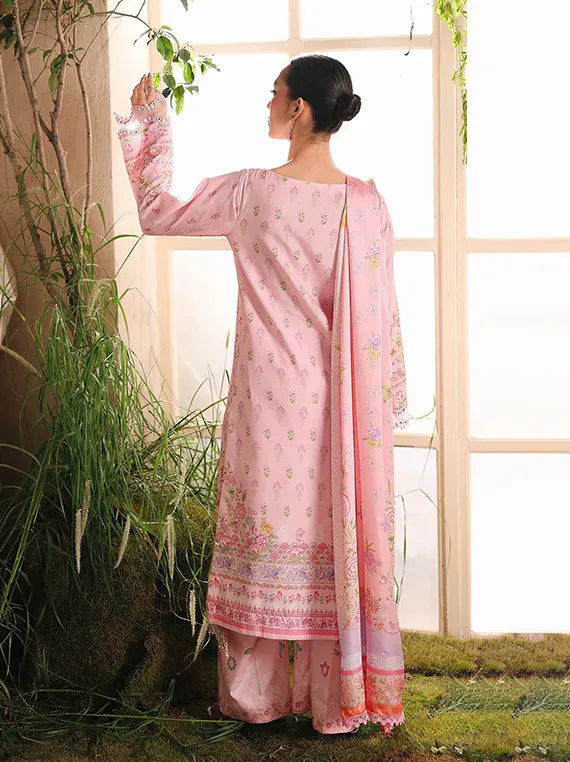 Silah Printed & Embroidered Raw Silk Collection 2025 by RajBari (D-01)