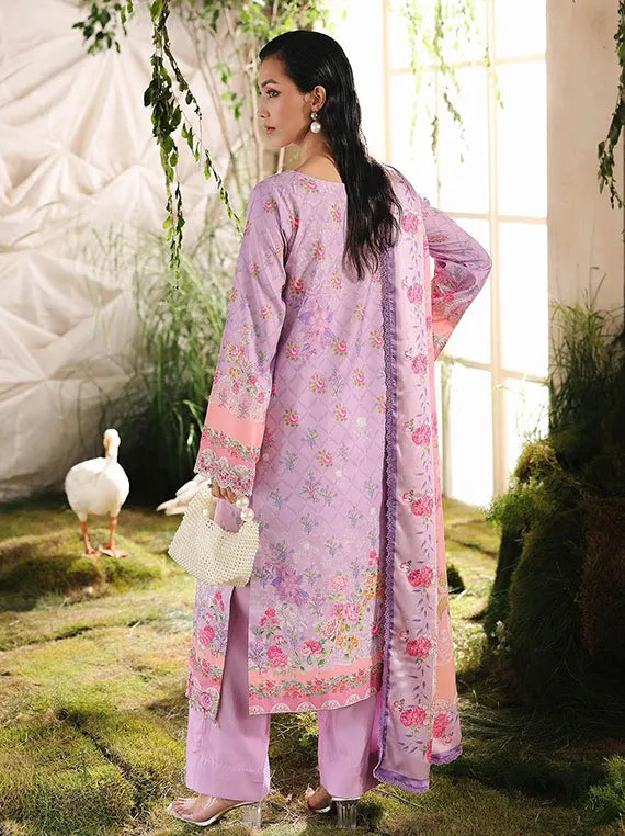 Silah Printed & Embroidered Raw Silk Collection 2025 by RajBari (D-09)