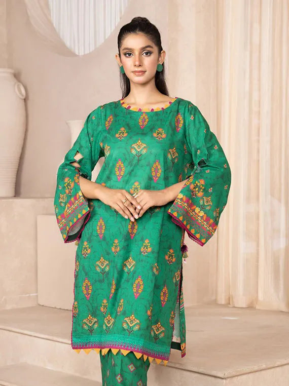 Sitara Studio Day To Day Khaddar Collection 25 (D-05)