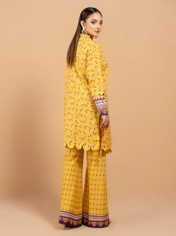 Sitara Studio Day To Day Lawn Collection 2024 (D-534)