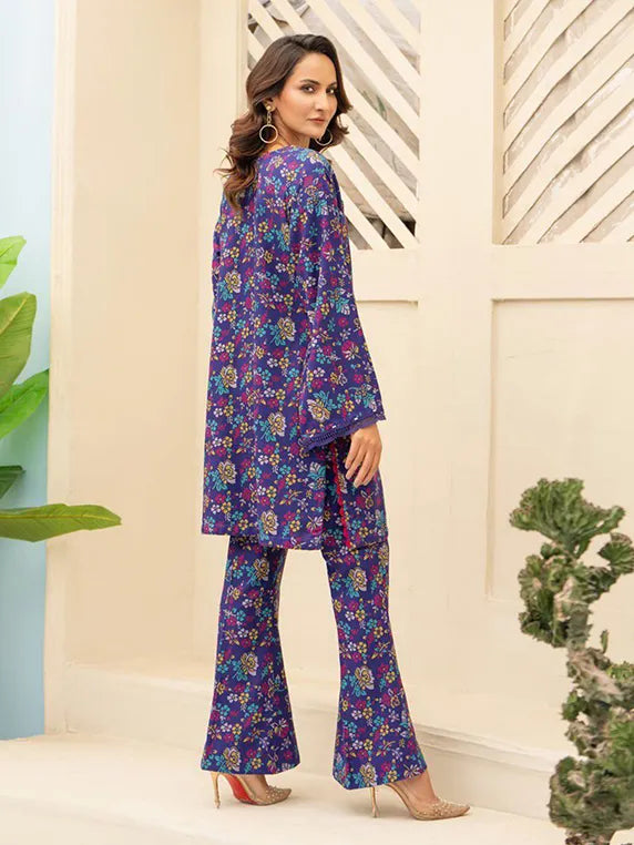 Sitara Studio Dhanak 2Piece Collection 2025 (D-05)