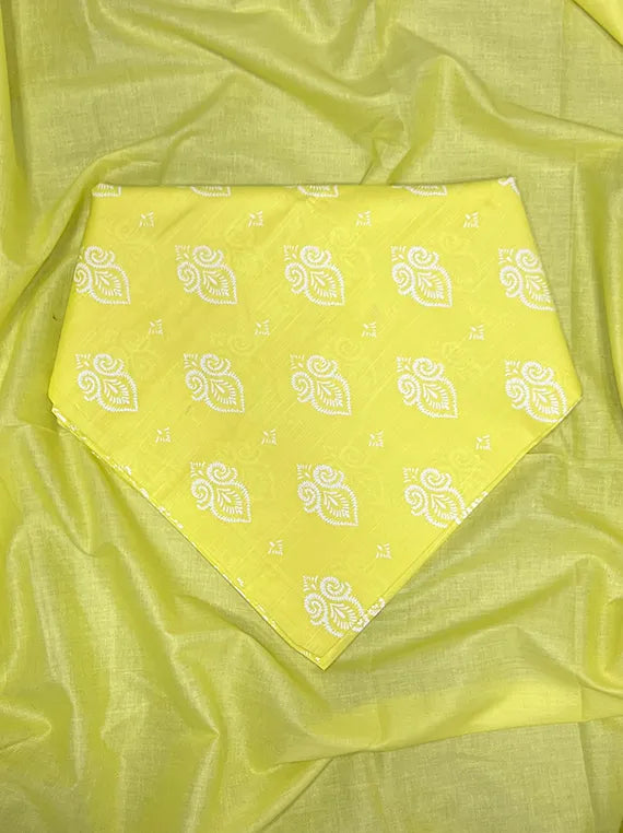 Sunlit Bloom Paste Printed Slub Lawn Edit25 (AC32-06)