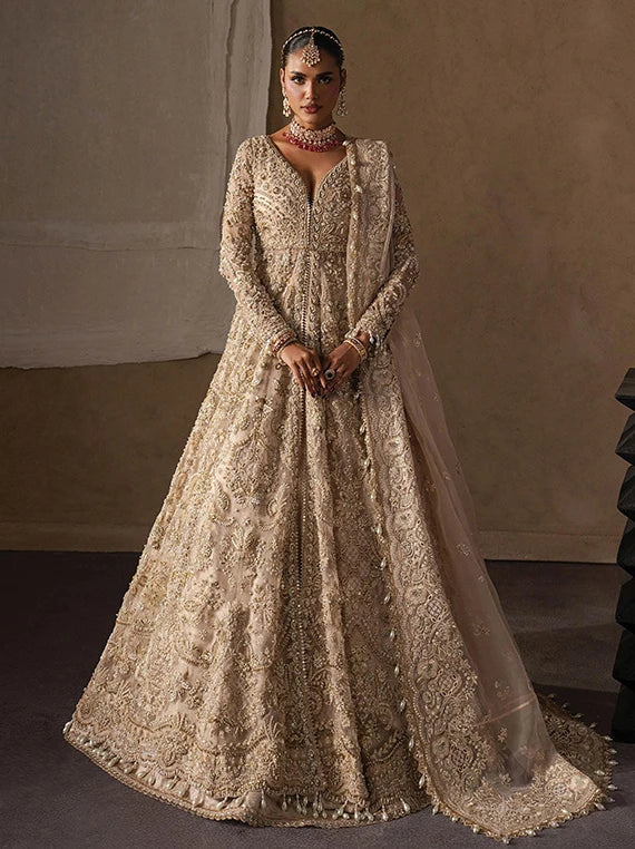 The Brides by Afrozeh Luxury Collection 2026 (AFB-25-01)