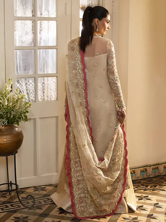 Timeless Chiffon Luxe Collection 2026 (SILKDAWN)