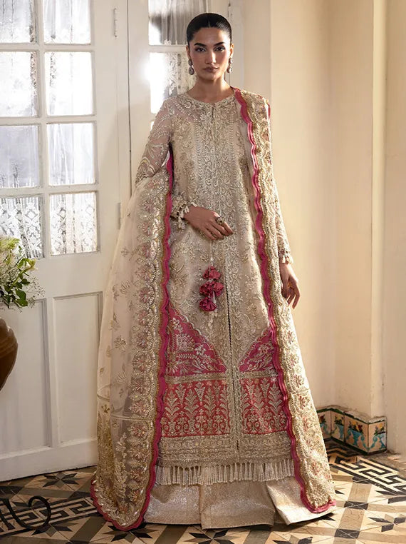 Timeless Chiffon Luxe Collection 2026 (SILKDAWN)