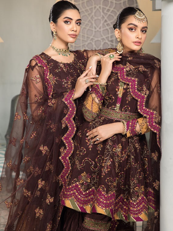 Multi Brand Chiffon Collection 2023 (12-RAJWARI)