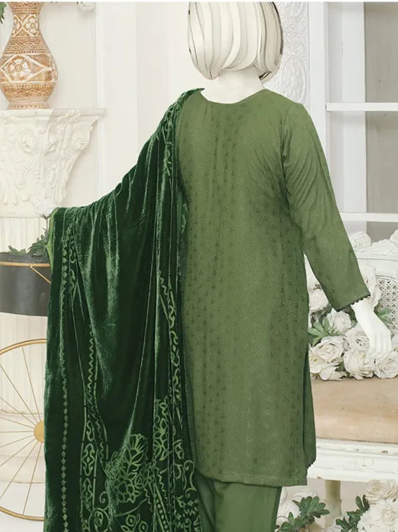 ZARA Fancy Winter Zarri Collection 2025 by ABC (D-920)