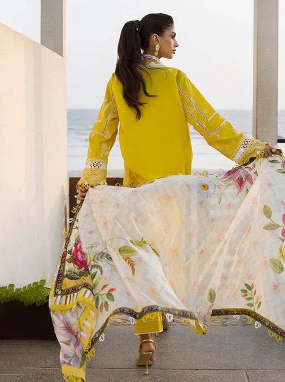 ZELLBURY Chikankari Winter Cotton Collection 2025 (WUC25E30073)