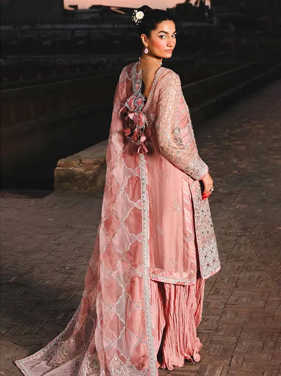 ZOUJ Luxury Festive Organza Collection 2025 by Raeesa (AAK-03)