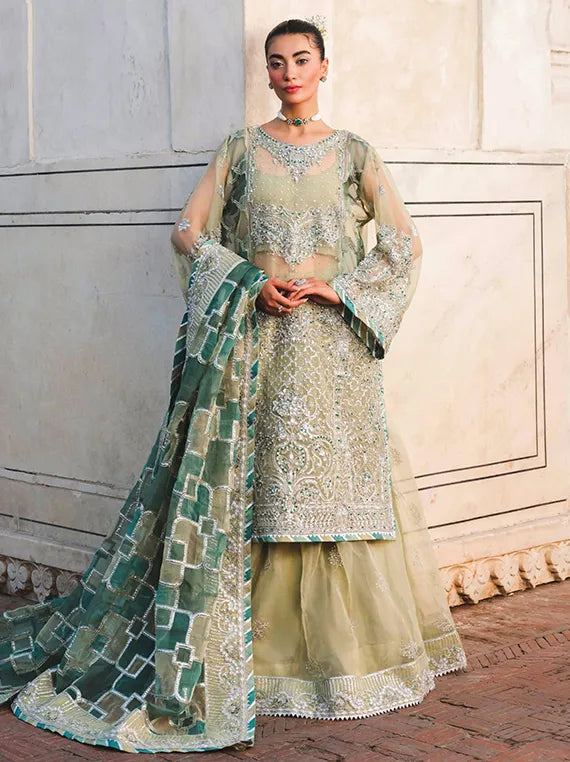 ZOUJ Luxury Festive Organza Collection 2025 by Raeesa (AAK-06)