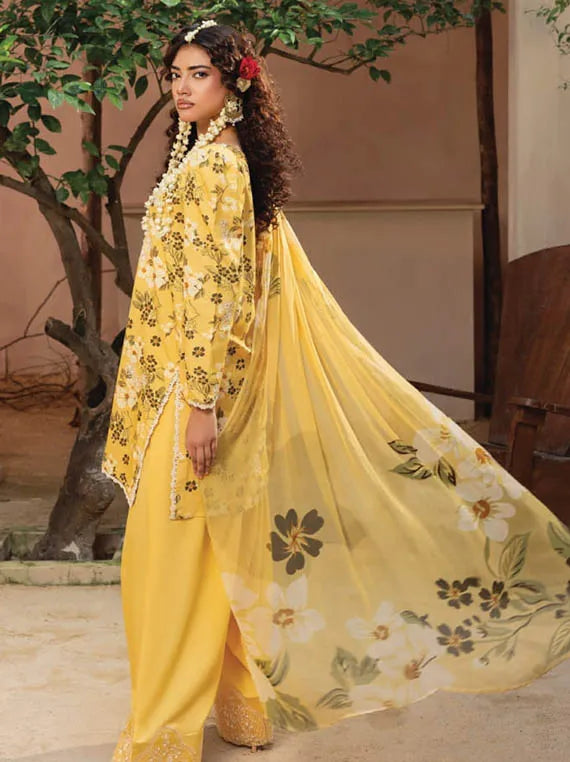 Zaiba Embroidered Printed Karandi Collection 2025 by HUMDUM (D-03)