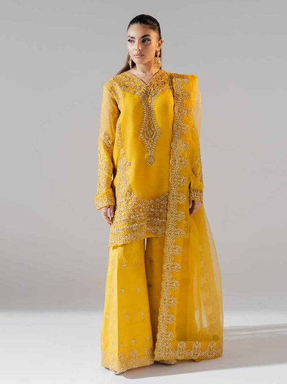 Zarez Luxury Formals Collection 2025 By Freesia (FS-40025 - Dendera)