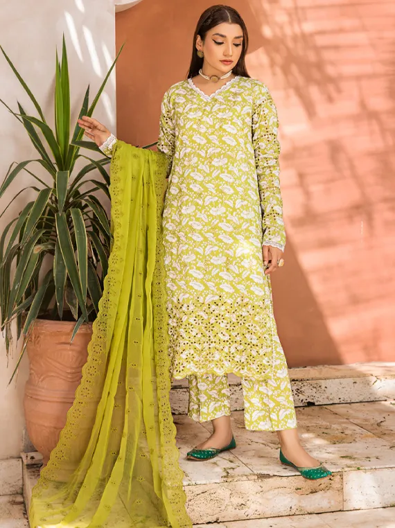 Aangan Embroidered Boring Collection 2023 By Puri Fabric (D-04)