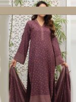 Kashmiri Printed Wool Collection 2023 By Hafiz Textile (D-03)