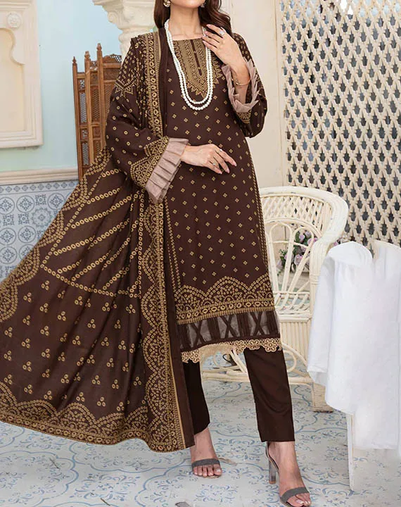 Kashmiri Printed Wool Collection 2023 By Hafiz Textile (D-15)